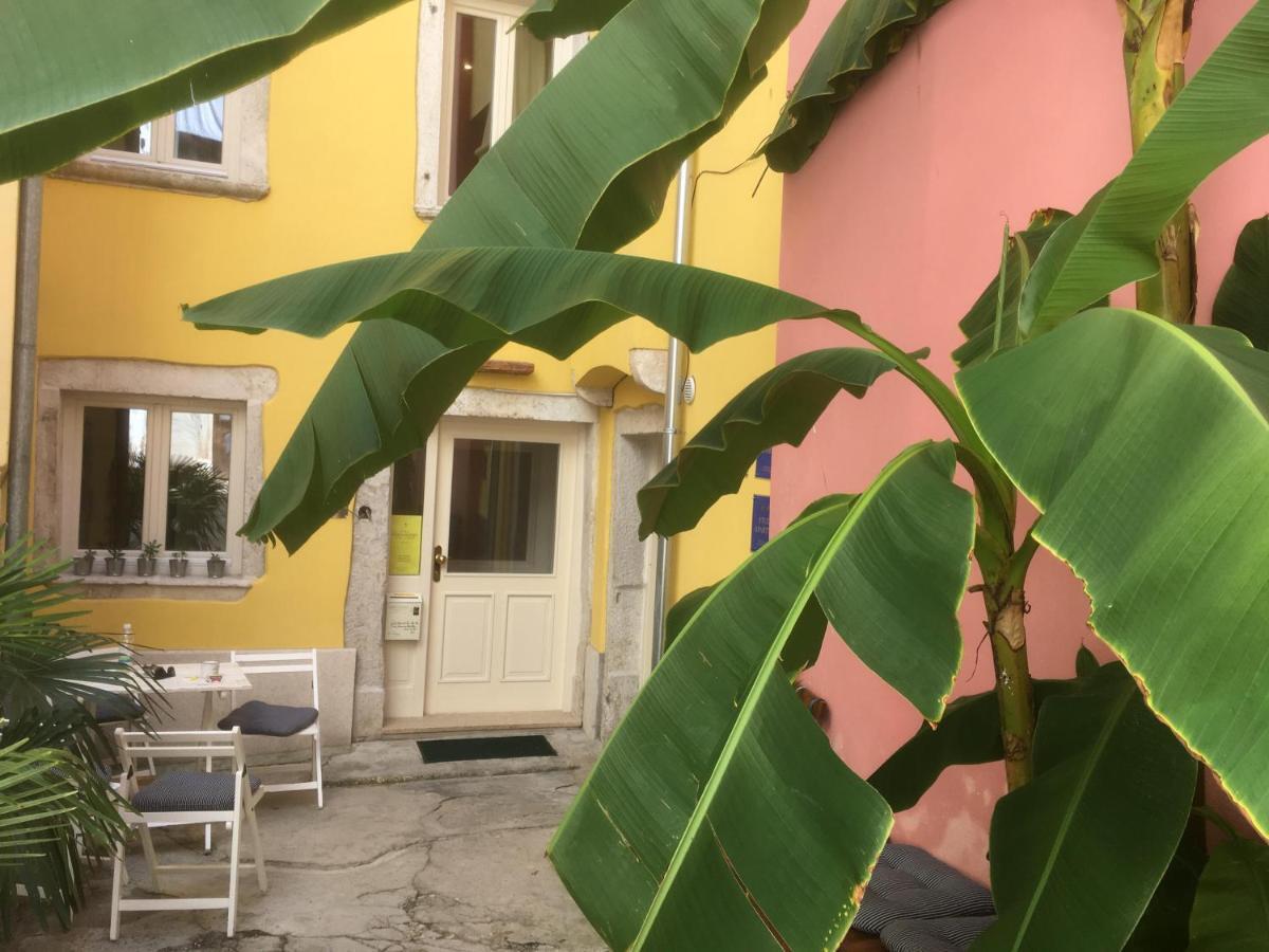 Casa Colloredo Free Parking Rovinj Exterior photo
